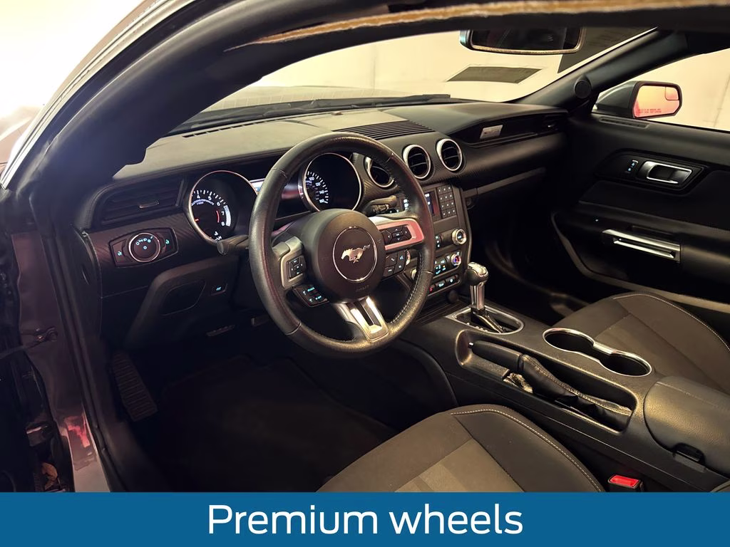 2019 Magnetic Metallic Ford Mustang EcoBoost RWD Coupe