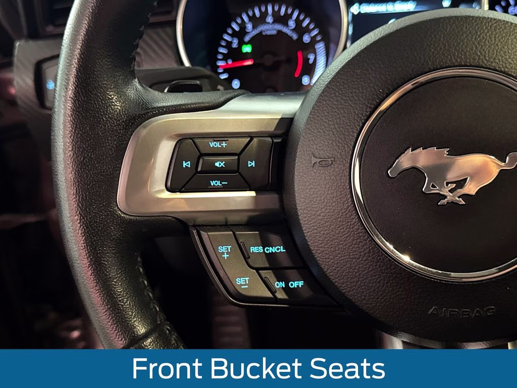 2019 Magnetic Metallic Ford Mustang EcoBoost RWD Coupe
