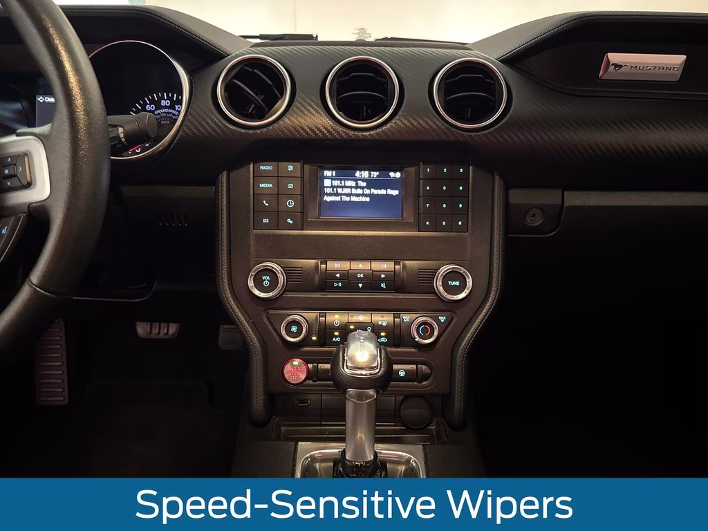 2019 Magnetic Metallic Ford Mustang EcoBoost RWD Coupe