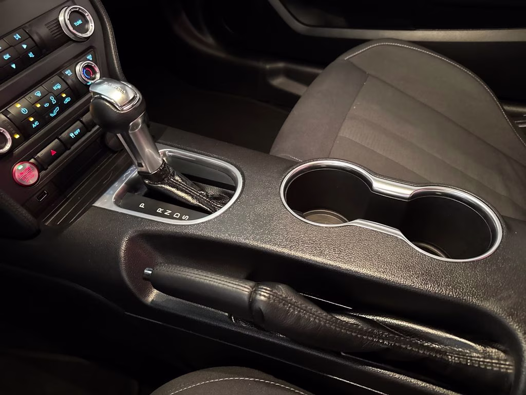2019 Magnetic Metallic Ford Mustang EcoBoost RWD Coupe