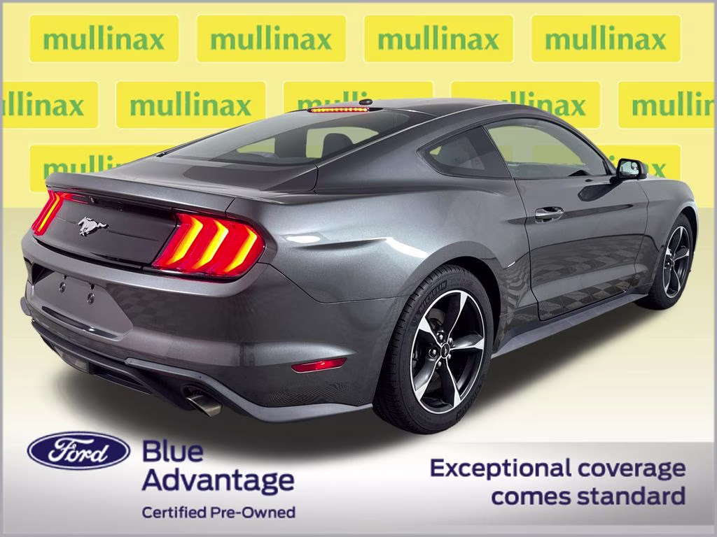 2019 Magnetic Metallic Ford Mustang EcoBoost RWD Coupe