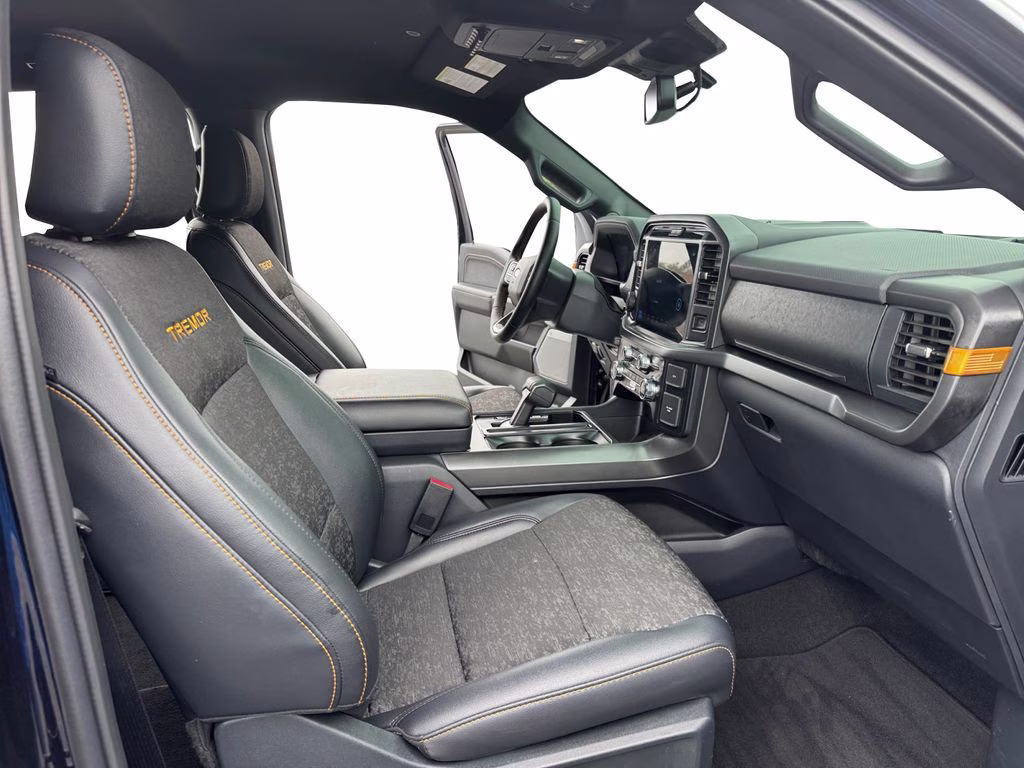 2025 Blue Metallic Ford F-150 Tremor 4X4 Truck