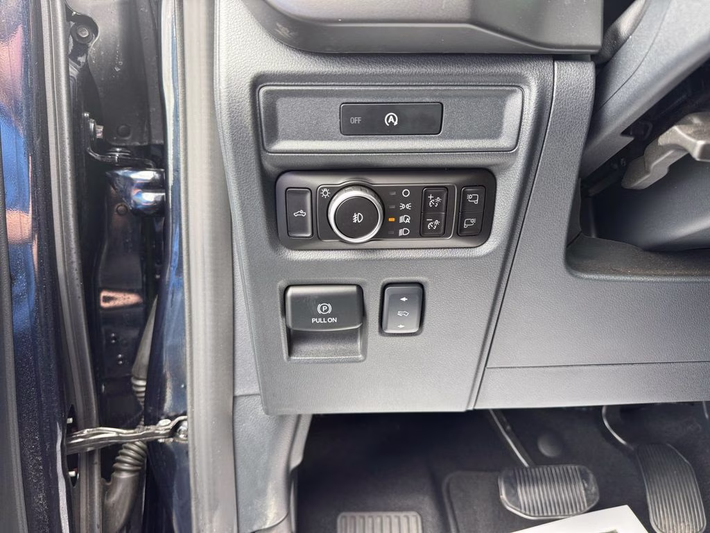 2025 Blue Metallic Ford F-150 Tremor 4X4 Truck