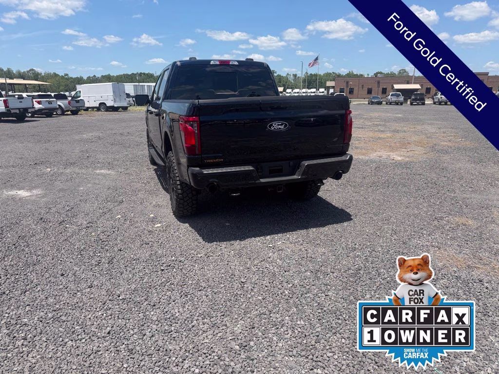 2025 Blue Metallic Ford F-150 Tremor 4X4 Truck