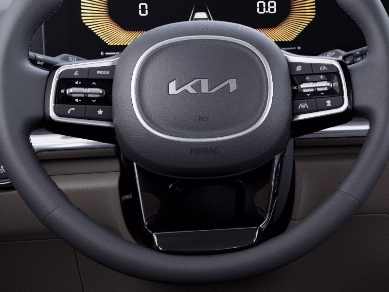 2026 Panthera Metal Kia Carnival LXS FWD Van