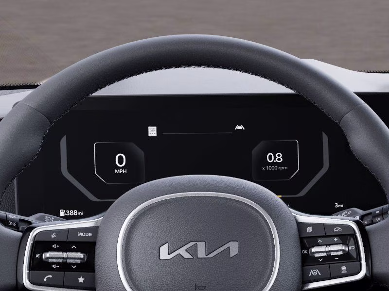 2026 Panthera Metal Kia Carnival SX Prestige FWD Van