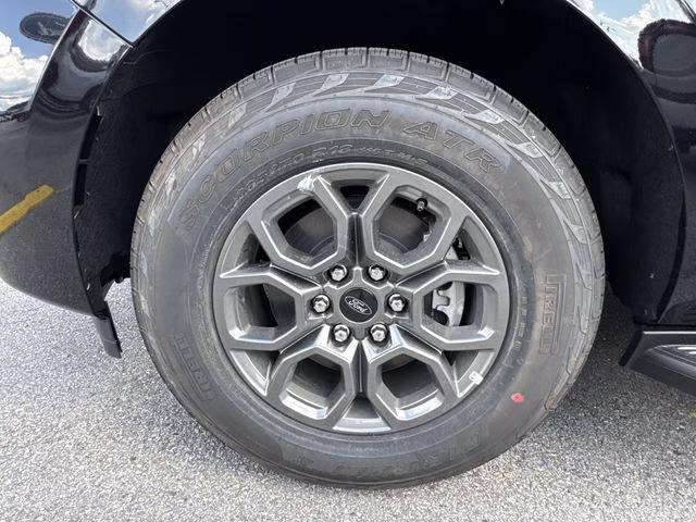 2026 Black Metallic Ford Expedition Active RWD SUV