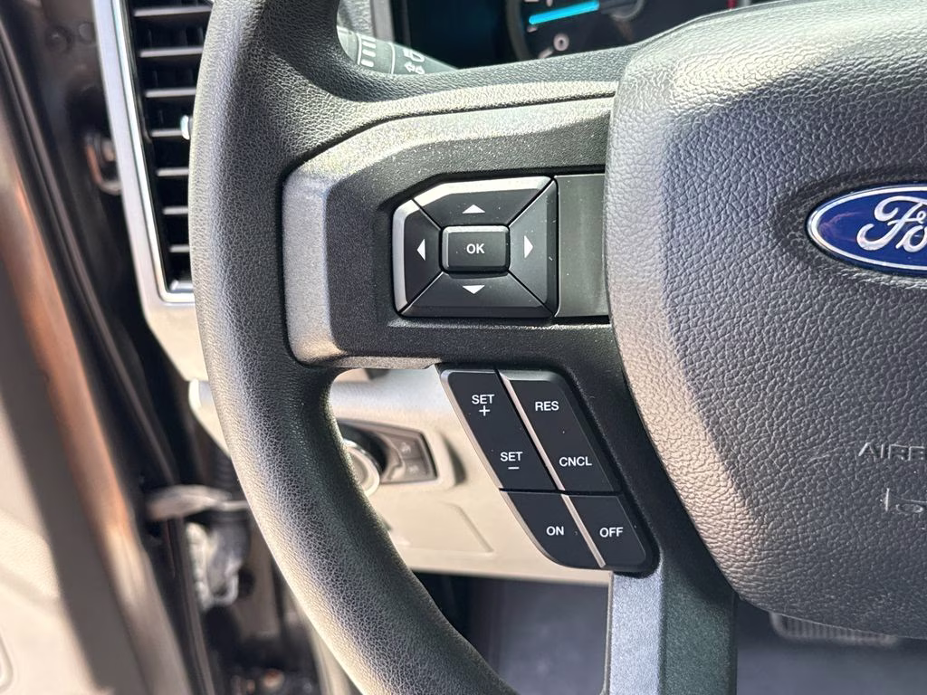 2019 Magnetic Metallic Ford F-150 XLT RWD Truck