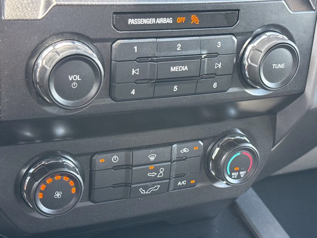 2019 Magnetic Metallic Ford F-150 XLT RWD Truck