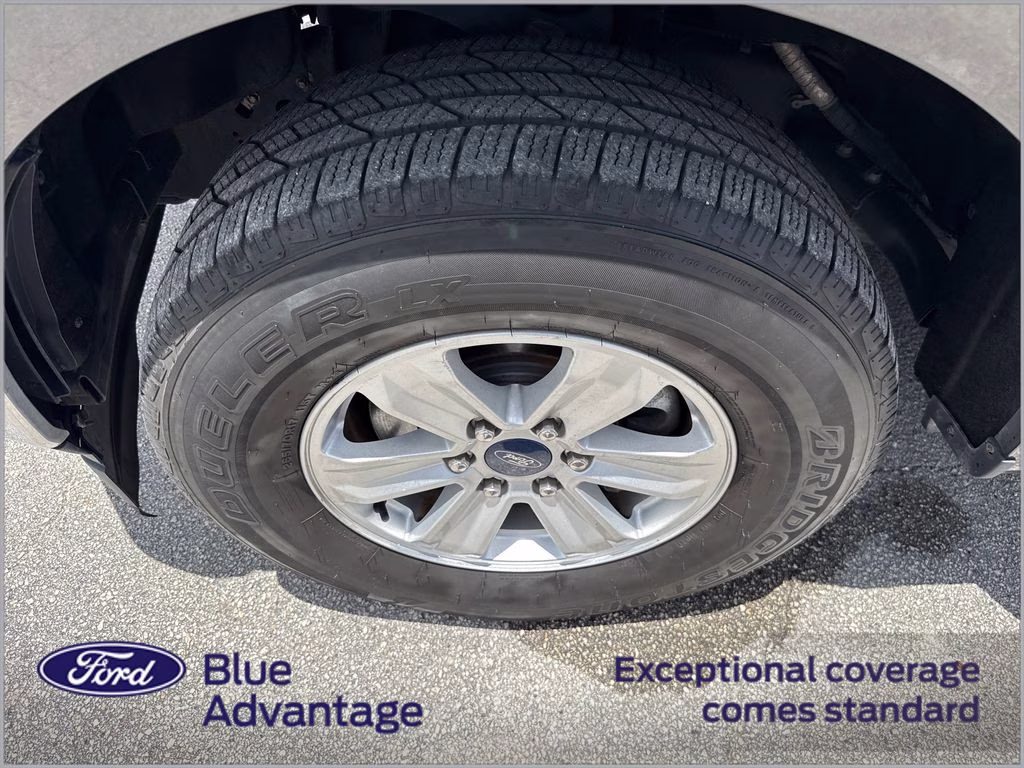 2019 Magnetic Metallic Ford F-150 XLT RWD Truck