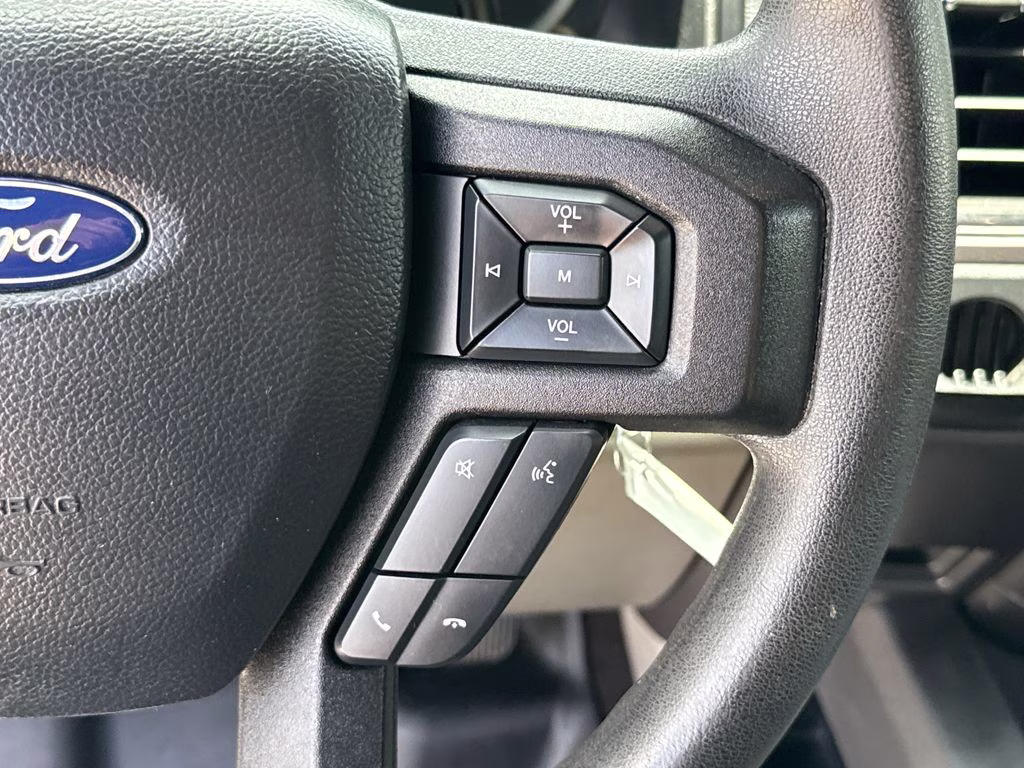 2019 Magnetic Metallic Ford F-150 XLT RWD Truck