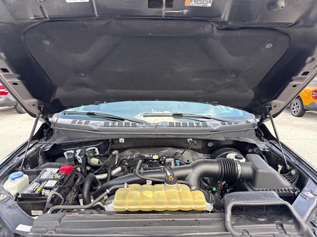 2019 Magnetic Metallic Ford F-150 XLT RWD Truck