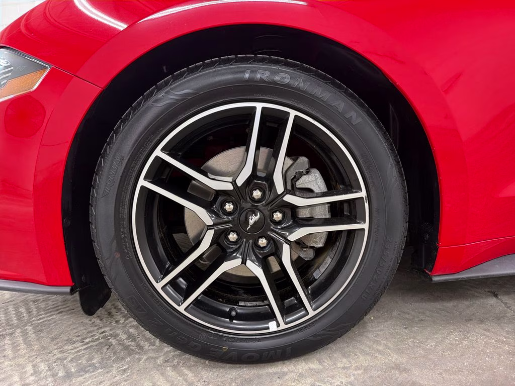 2019 Race Red Ford Mustang EcoBoost Premium RWD Convertible
