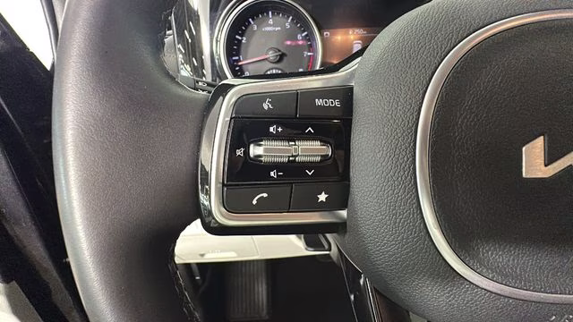 2024 Panthera Metal Kia Carnival EX FWD Van