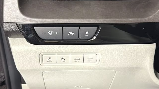 2024 Panthera Metal Kia Carnival EX FWD Van