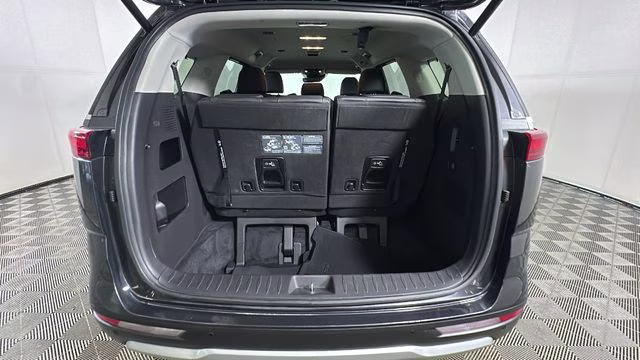 2024 Panthera Metal Kia Carnival EX FWD Van