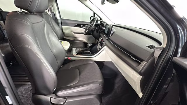 2024 Panthera Metal Kia Carnival EX FWD Van