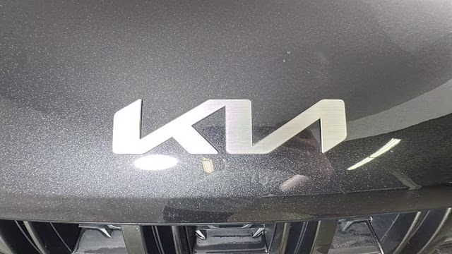2024 Panthera Metal Kia Carnival EX FWD Van