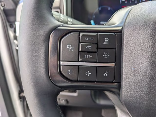 2026 Avalanche Ford Super Duty F-250 SRW Platinum 4X4 Truck