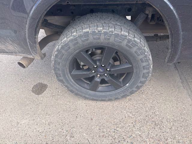 2019 Black Ford F-150 XLT 4X4 Truck
