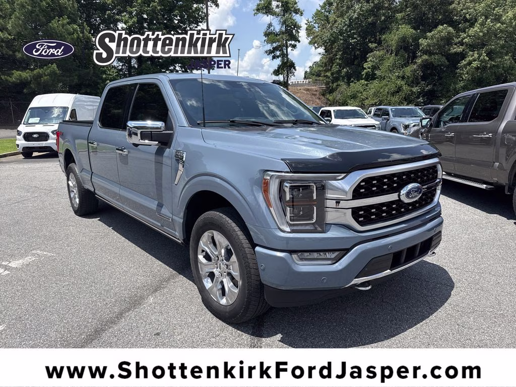 2023 Azure Gray Metallic Tri-Coat Ford F-150 Platinum 4X4 Truck