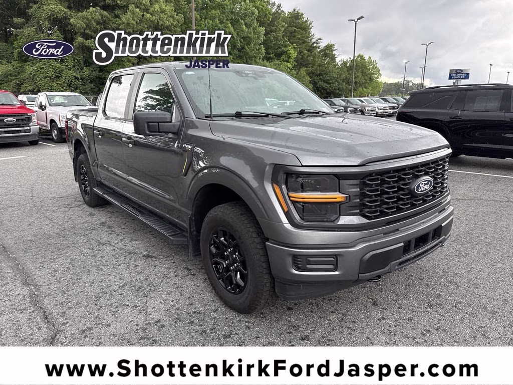 2025 Carbonized Gray Metallic Ford F-150 STX 4X4 Truck