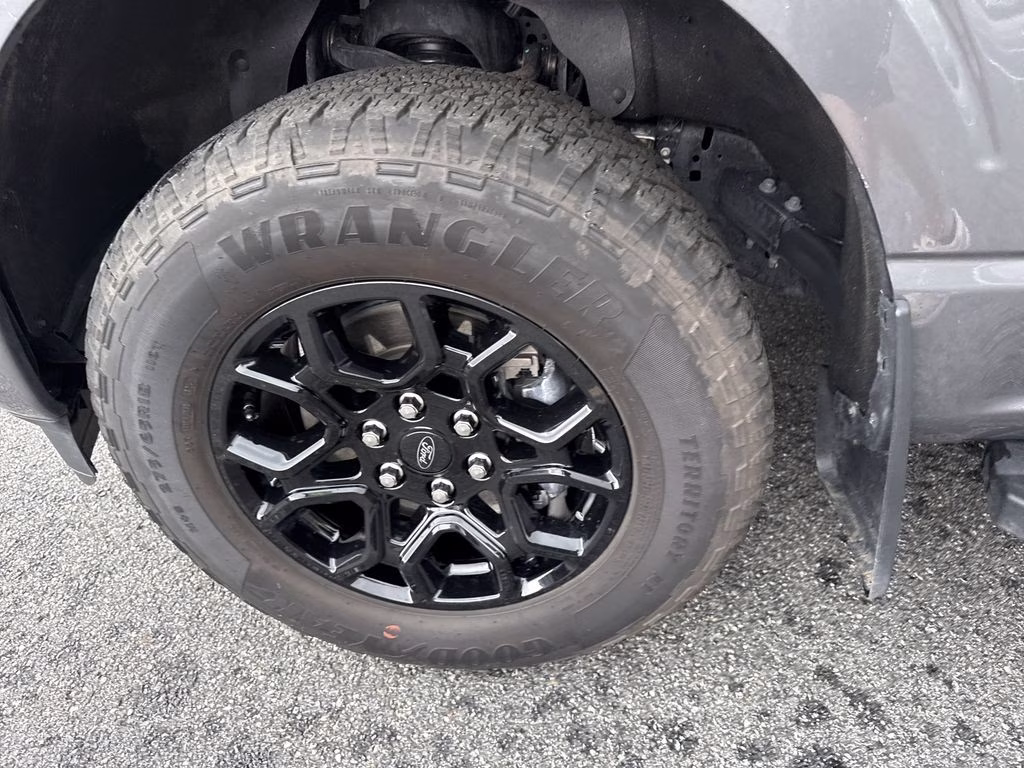 2025 Carbonized Gray Metallic Ford F-150 STX 4X4 Truck