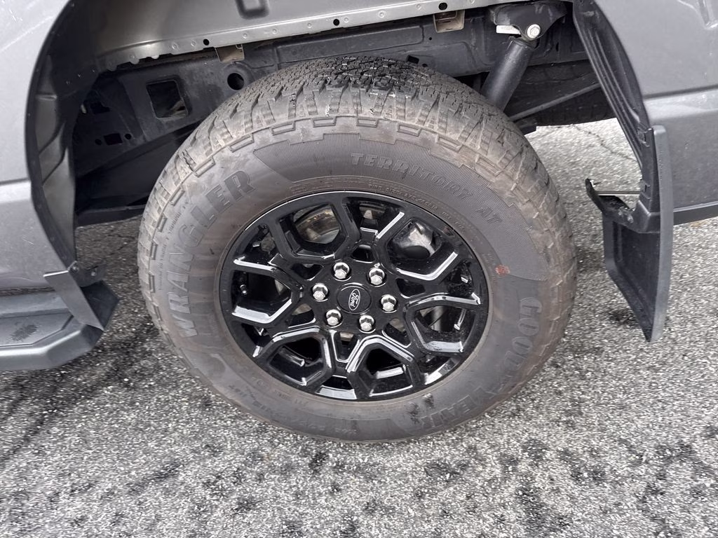 2025 Carbonized Gray Metallic Ford F-150 STX 4X4 Truck