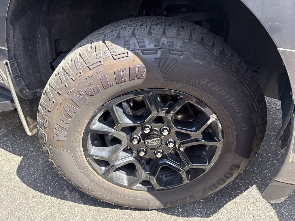 2025 Carbonized Gray Metallic Ford F-150 STX 4X4 Truck