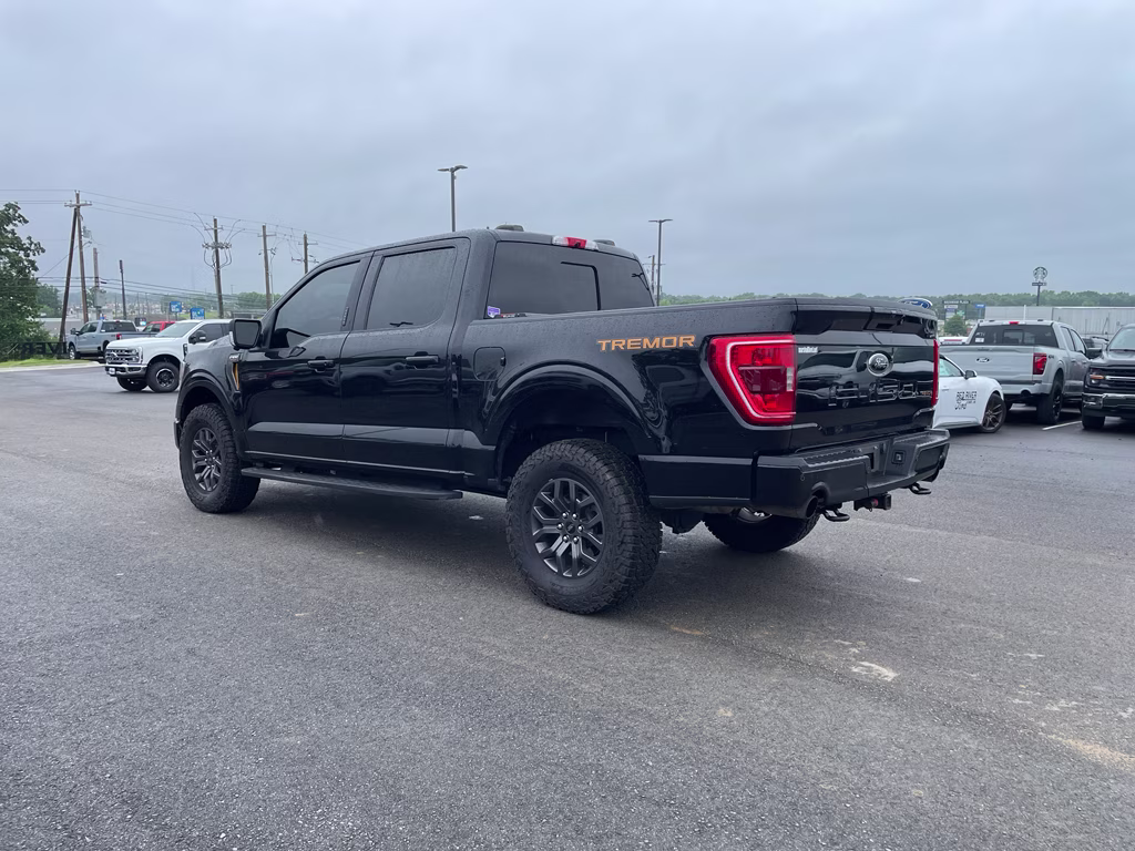 2022 AGATE BLACK METALLIC Ford F-150 Tremor 4X4 Truck