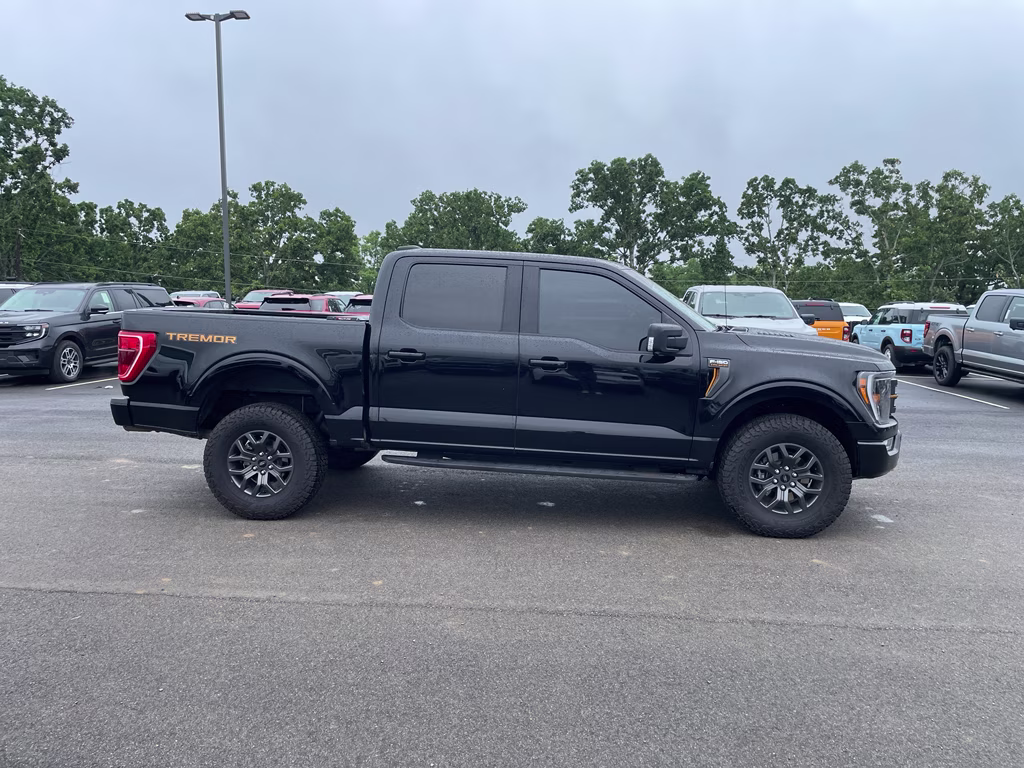 2022 AGATE BLACK METALLIC Ford F-150 Tremor 4X4 Truck