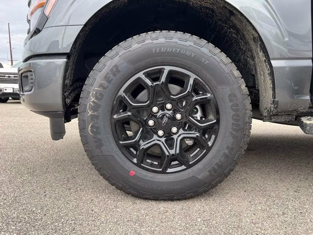 2026 Carbonized Gray Metallic Ford F-150 XLT 4X4 Truck