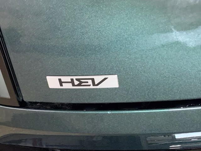 2027 Black Jade Green Kia Telluride Hybrid SX Prestige AWD SUV