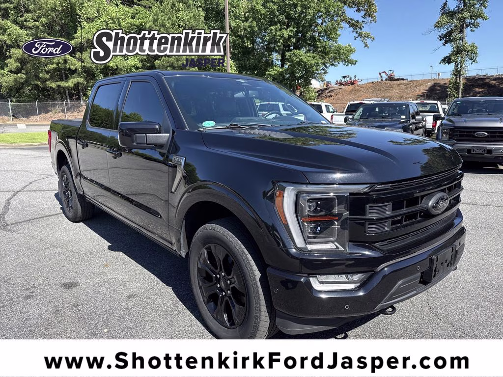 2023 Black Metallic Ford F-150 Platinum 4X4 Truck