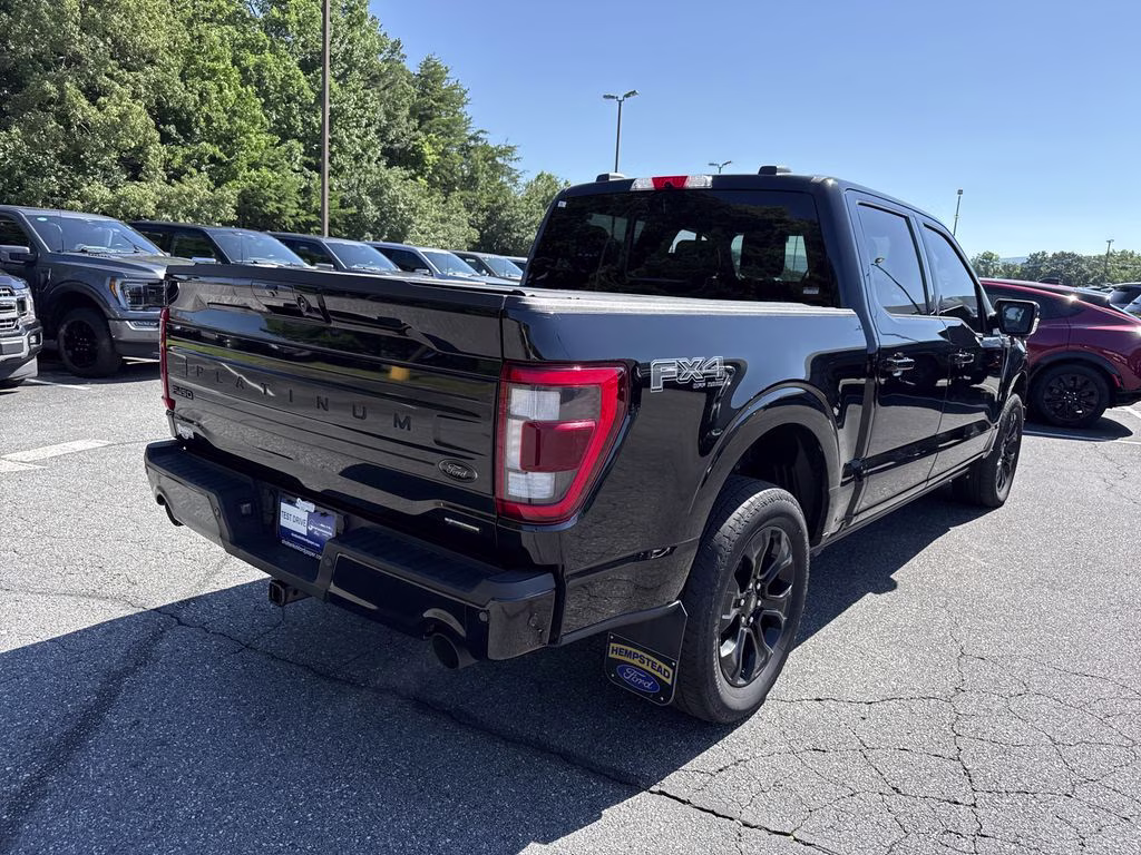 2023 Black Metallic Ford F-150 Platinum 4X4 Truck