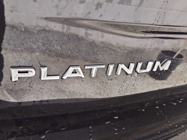 2026 Agate Black Metallic Ford Expedition Max Platinum 4X4 SUV