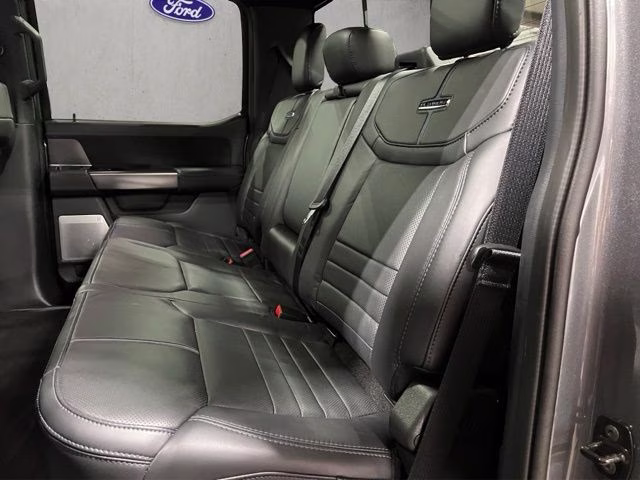 2024 Gray Metallic Ford F-150 Platinum 4X4 Truck