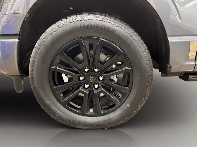 2024 Gray Metallic Ford F-150 Platinum 4X4 Truck