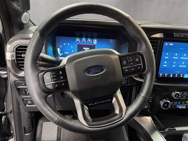 2024 Gray Metallic Ford F-150 Platinum 4X4 Truck
