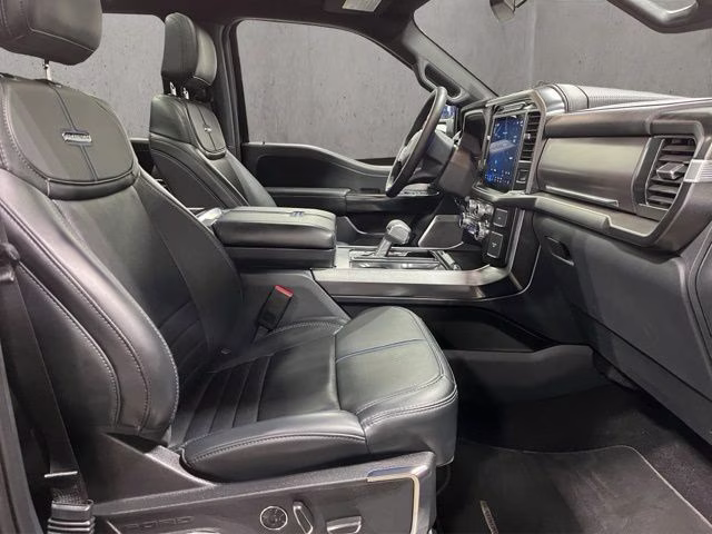 2024 Gray Metallic Ford F-150 Platinum 4X4 Truck