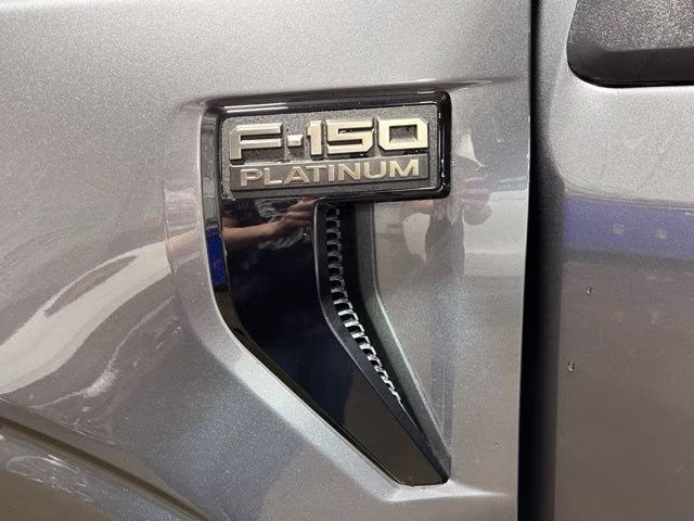 2024 Gray Metallic Ford F-150 Platinum 4X4 Truck