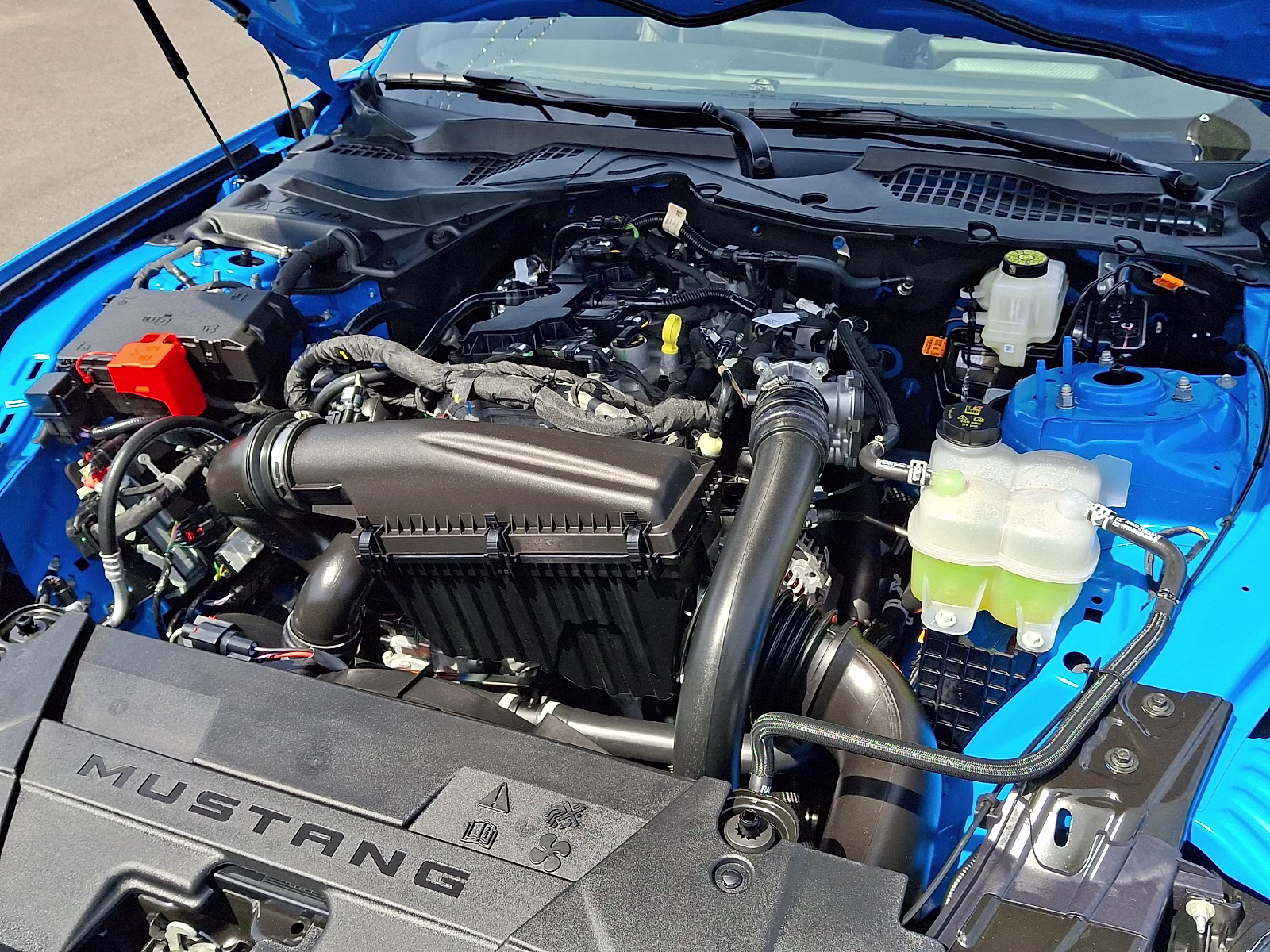 2026 Grabber Blue Metallic - AE Ford Mustang EcoBoost Premium Fastback RWD