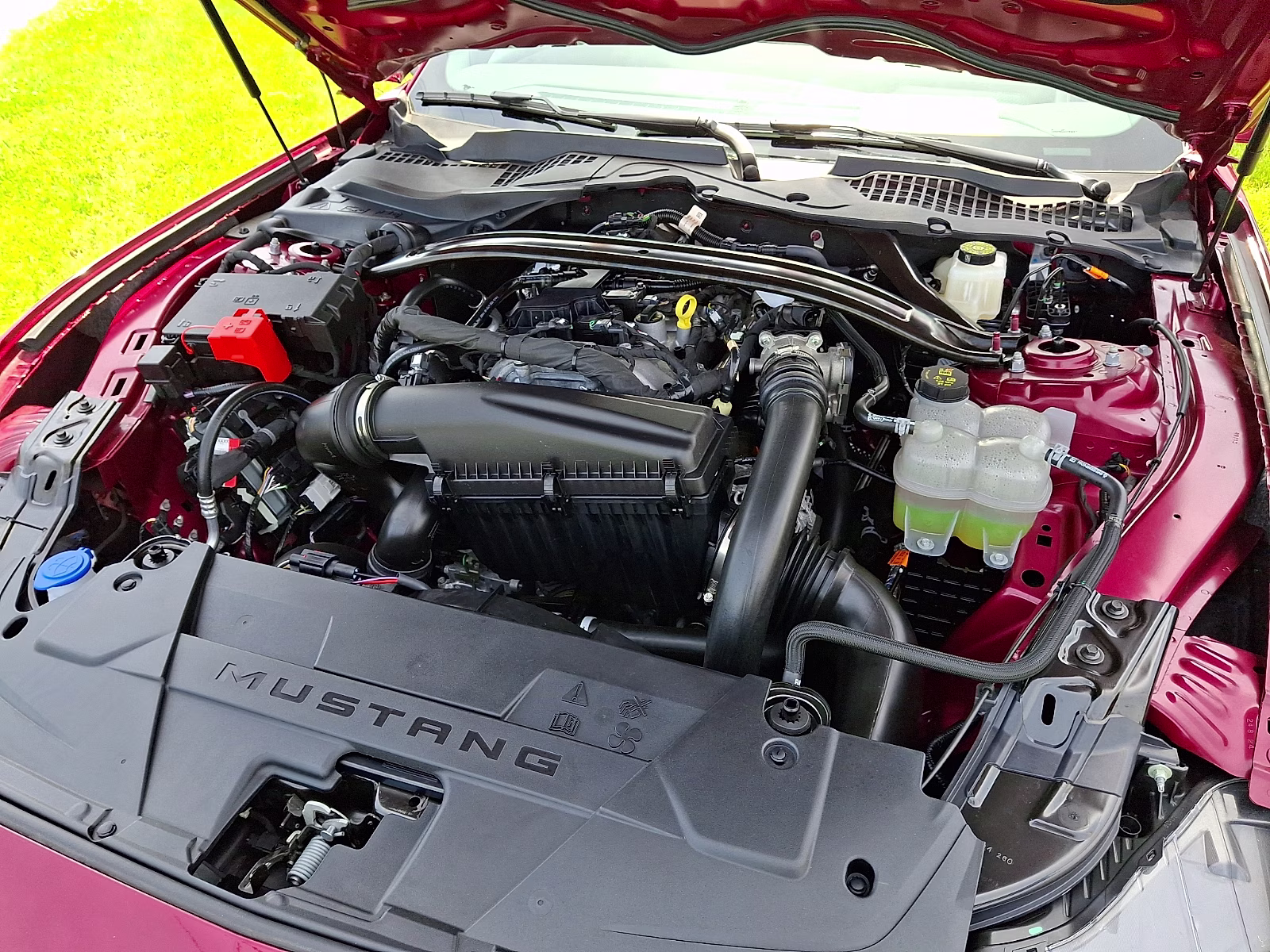 2025 Molten Magenta Metallic Tri-coat - DT Ford Mustang EcoBoost Premium Convertible RWD