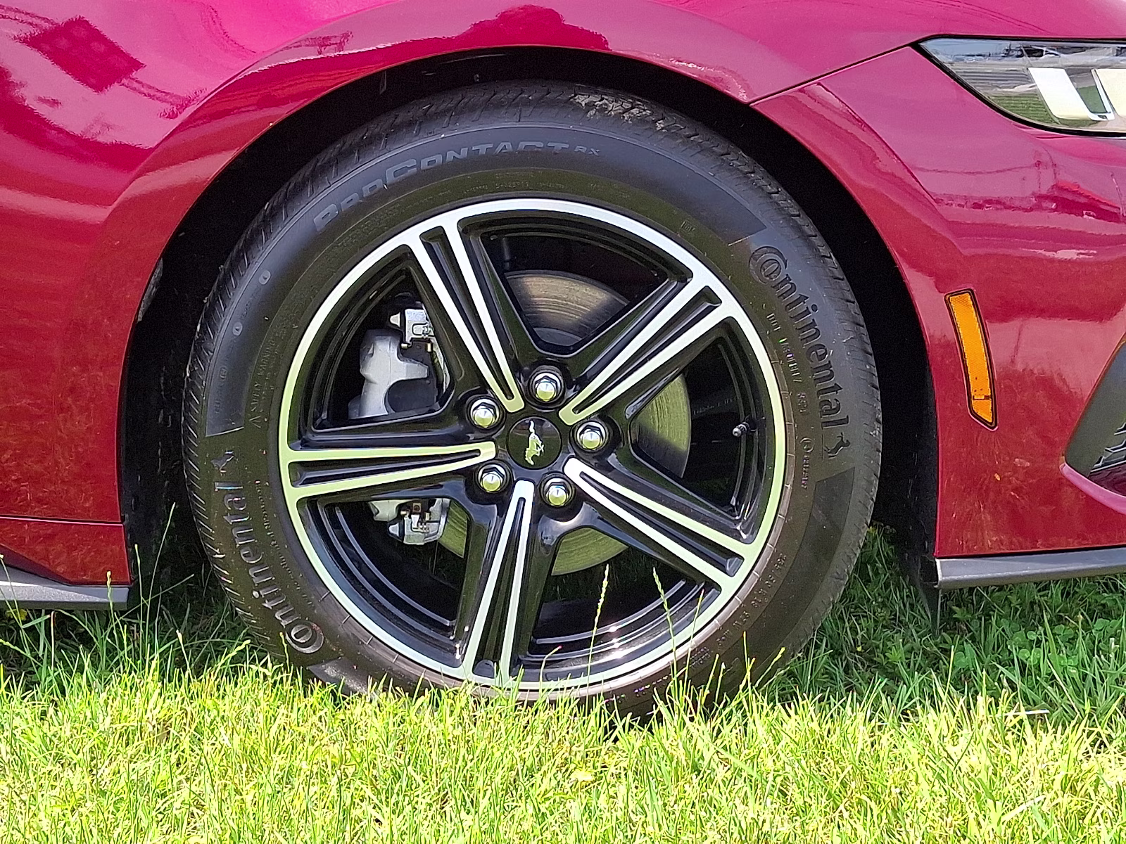 2025 Molten Magenta Metallic Tri-coat - DT Ford Mustang EcoBoost Premium Convertible RWD