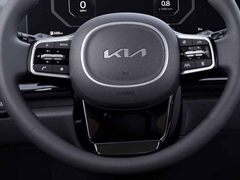 2026 Panthera Metal Kia Carnival SX Prestige FWD Van
