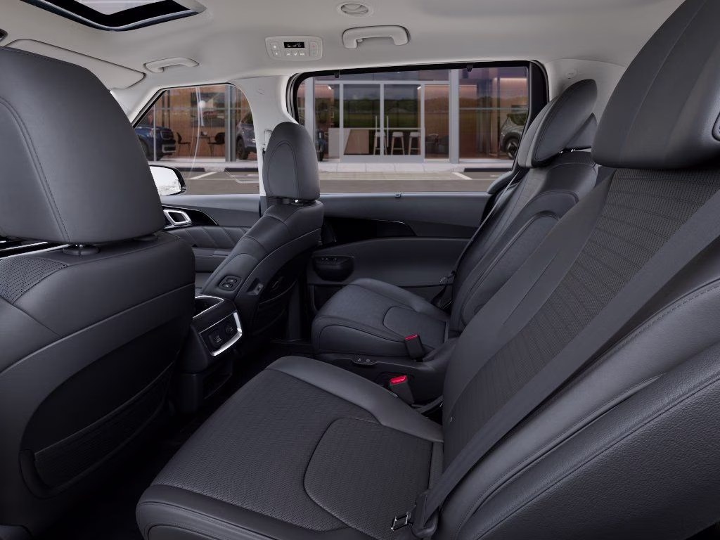 2026 Panthera Metal Kia Carnival SX Prestige FWD Van