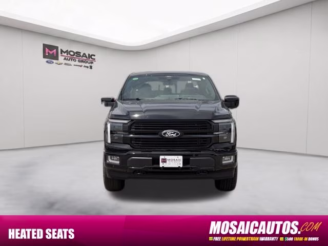 2026 Agate Black Metallic Ford F-150 Platinum 4X4 Truck