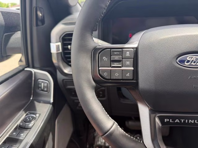 2026 Agate Black Metallic Ford F-150 Platinum 4X4 Truck