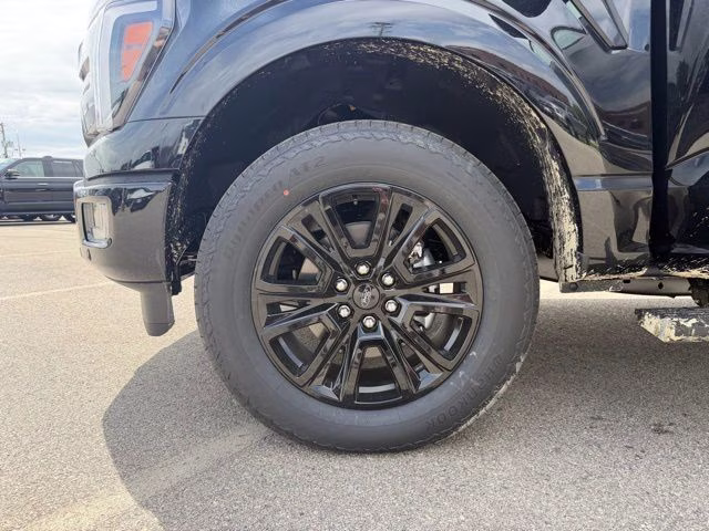 2026 Agate Black Metallic Ford F-150 Platinum 4X4 Truck