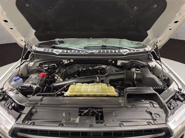 2019 Oxford White Ford F-150 XLT 4X4 Truck